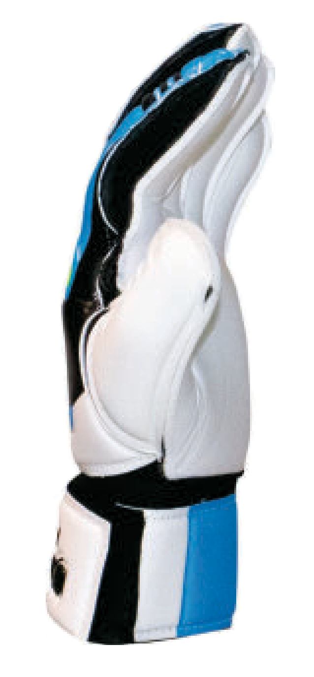 Terni GK Gloves